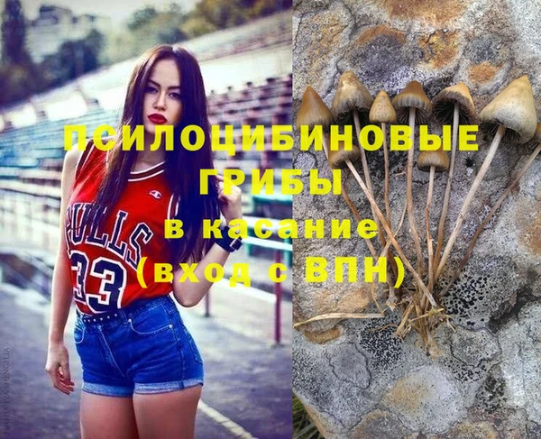 прущие крисы Беломорск