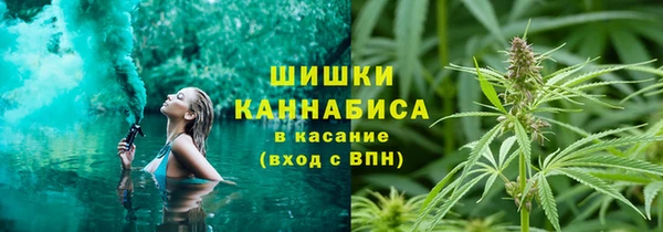 ПСИЛОЦИБИНОВЫЕ ГРИБЫ Белоозёрский