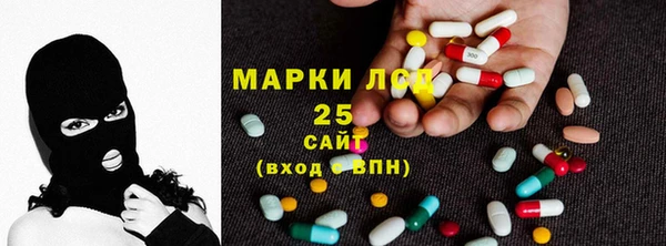 ПСИЛОЦИБИНОВЫЕ ГРИБЫ Белоозёрский
