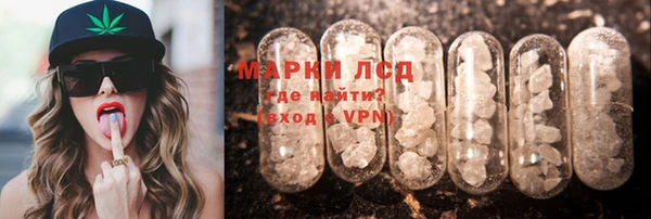 ПСИЛОЦИБИНОВЫЕ ГРИБЫ Белоозёрский